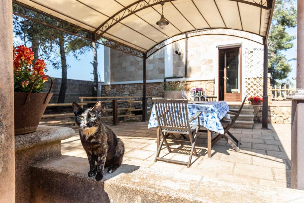 Villa Antonietta Alliste Bagian luar foto